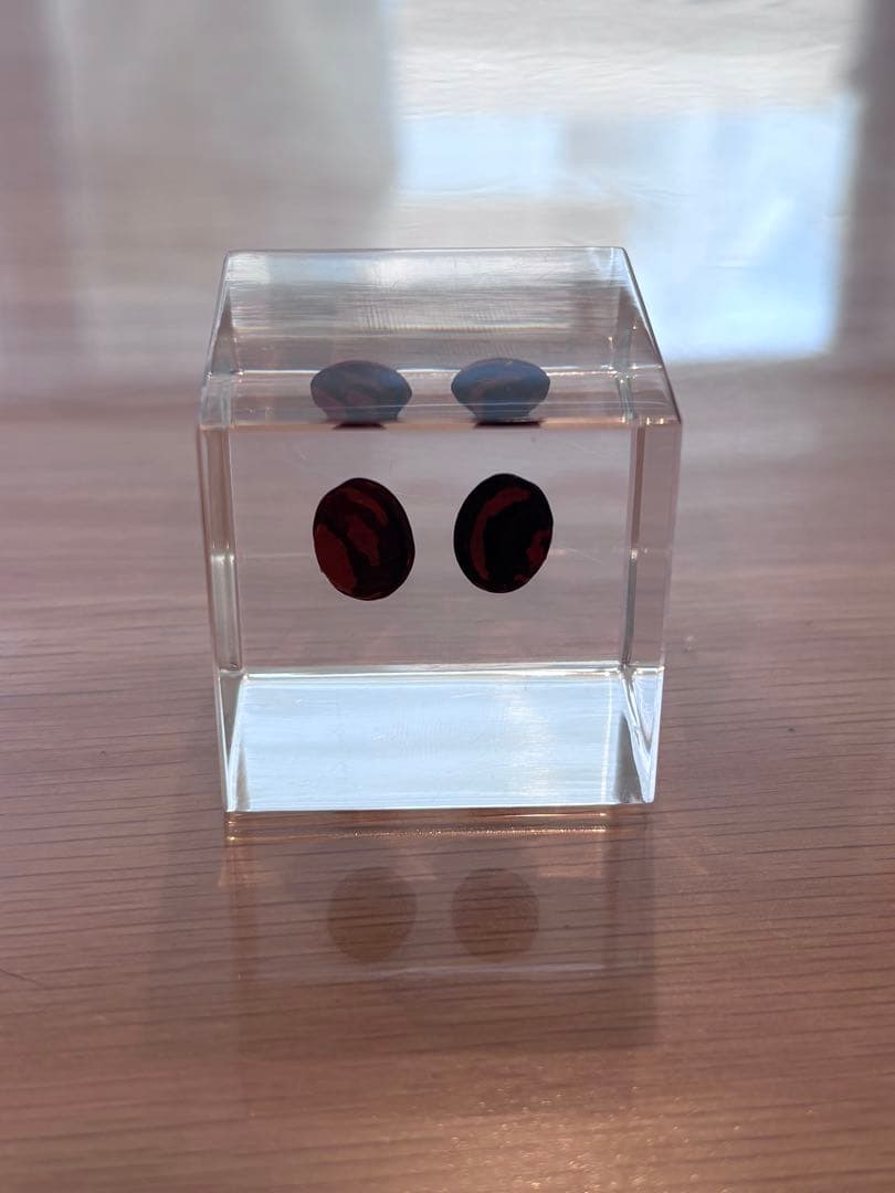 宙ソラsola cube 標本箱木箱セット ウサギノネドコセレクション9個