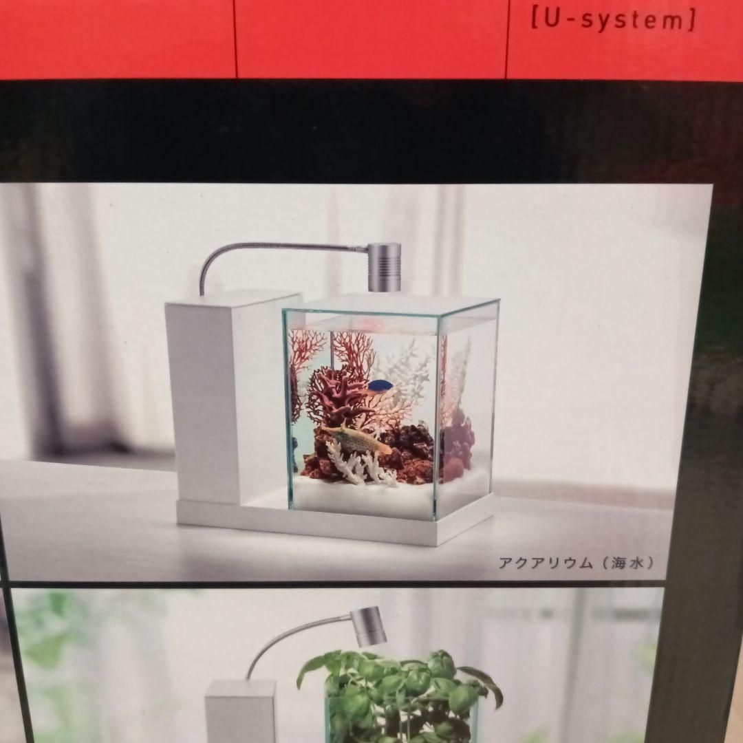 新品　GEX アクアリスタ AQUA-U アクアユー ホワイト ガラス水槽