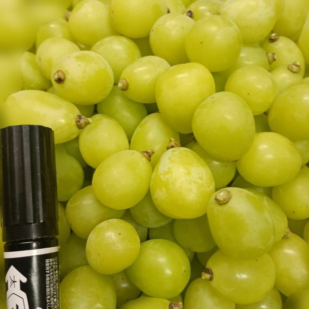 シャインマスカット大粒完熟多めの、徳用5.5キロ入りの粒バック入りになります。