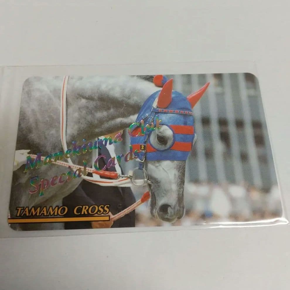 タマモクロス レインボーカード No.424 まねき馬 東ハト