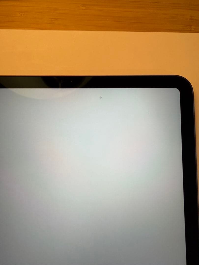 Apple iPad pro第1世代 256GB ＋Apple Pencil