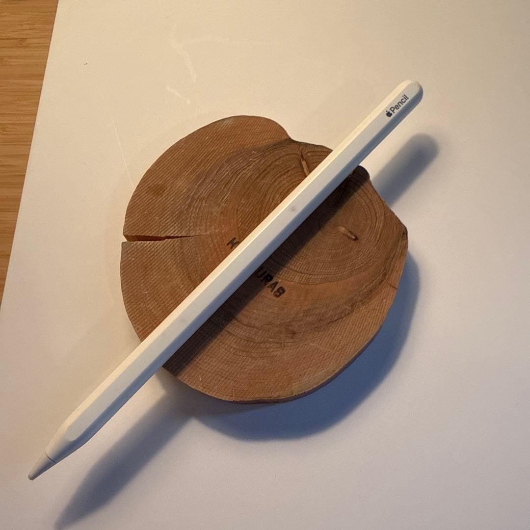 Apple iPad pro第1世代 256GB ＋Apple Pencil