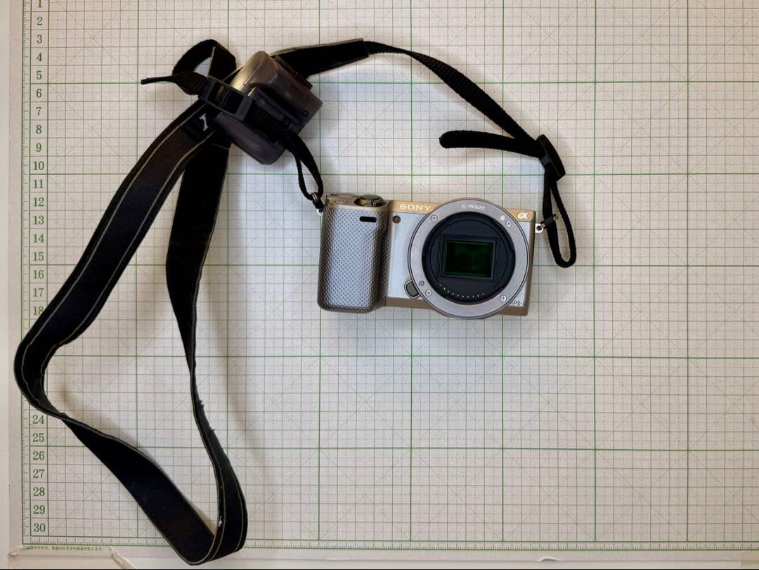 猫*様 SONY α NEX-5R レンズ　付属フラッシュ付き　シルバー　動作未