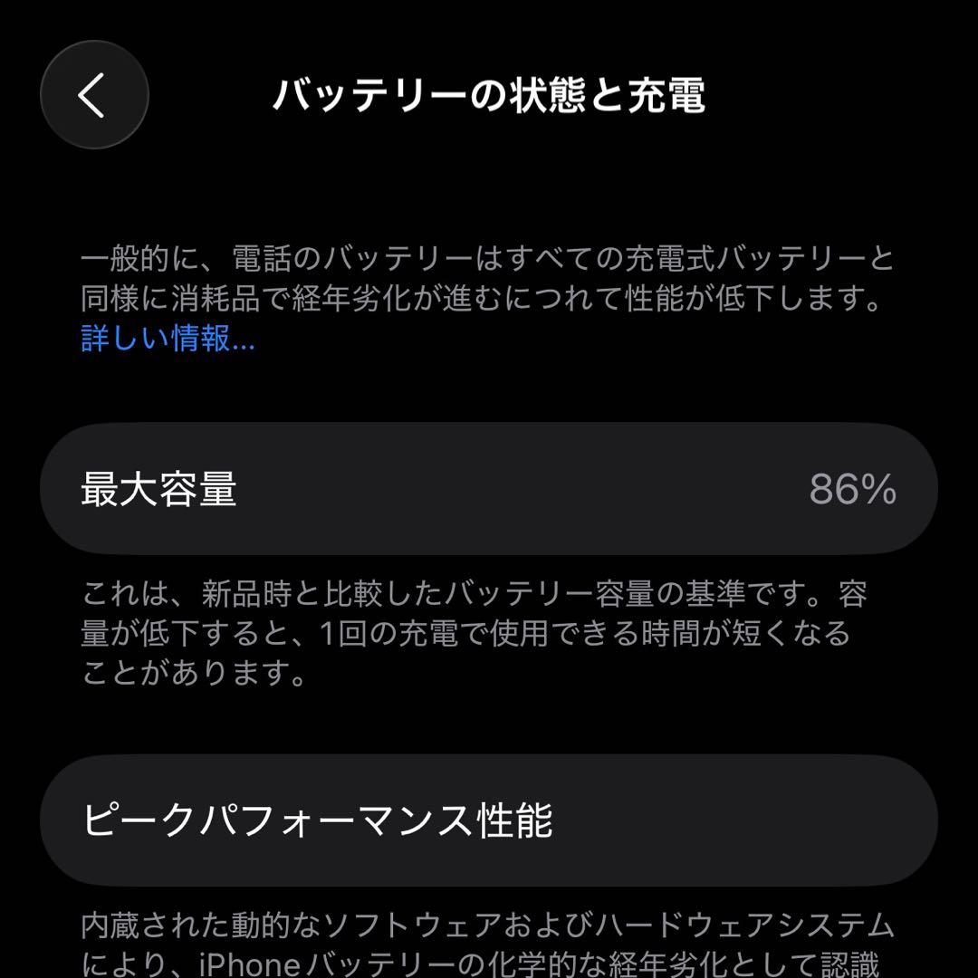 【RisoRisoさま専用】iPhone 14 Pro 256GB