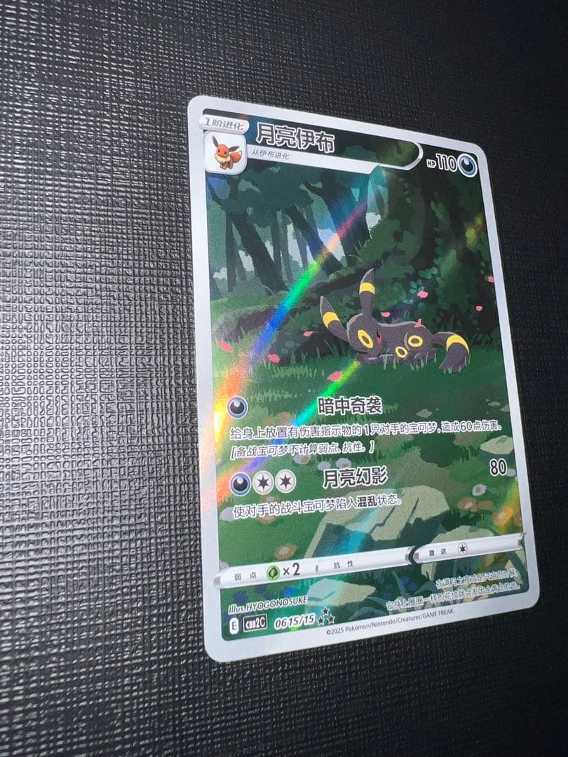 ブラッキー AR 06 15/15【中国語版】