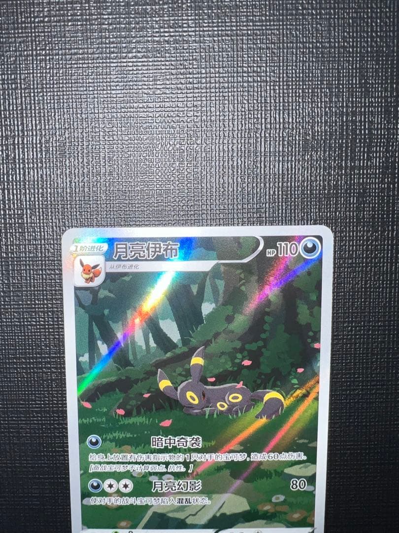 ブラッキー AR 06 15/15【中国語版】