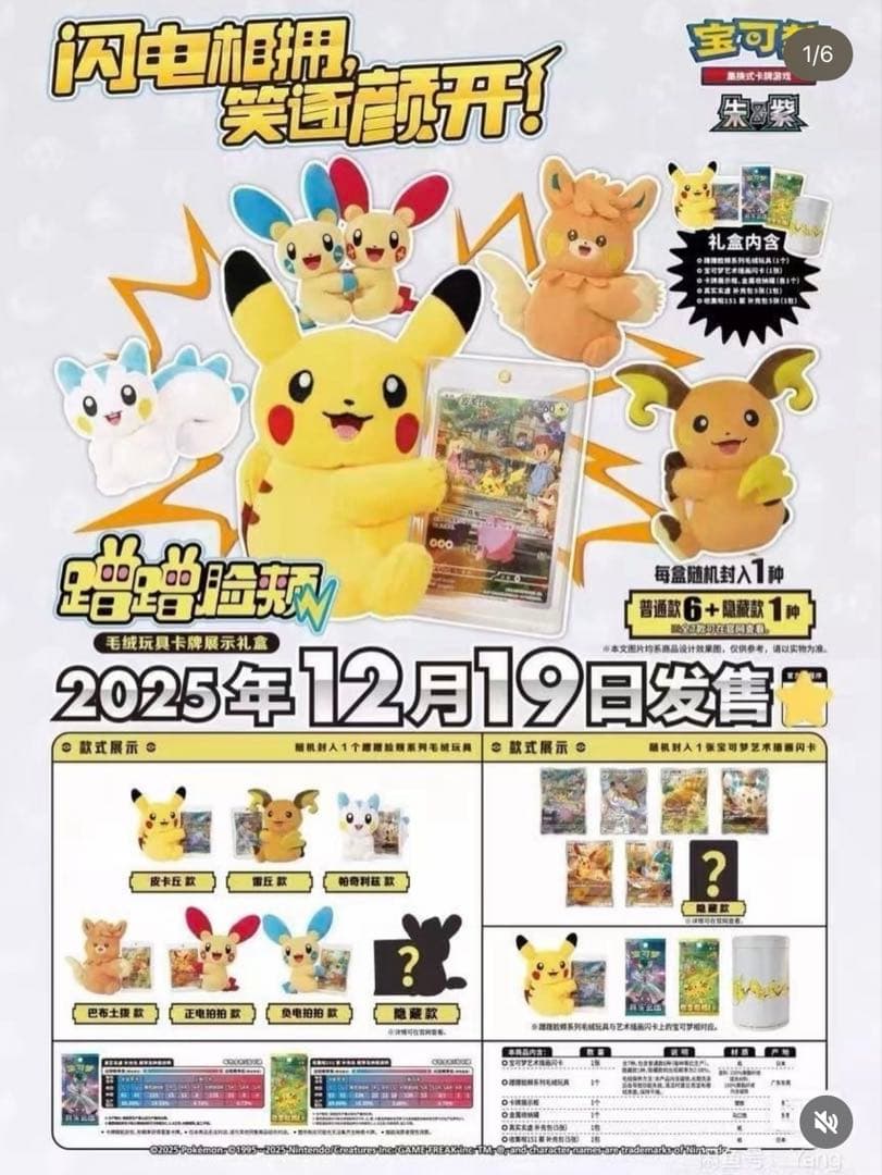 【中国限定】ポケモンカード ぬいぐるみ プロモ付き　未開封