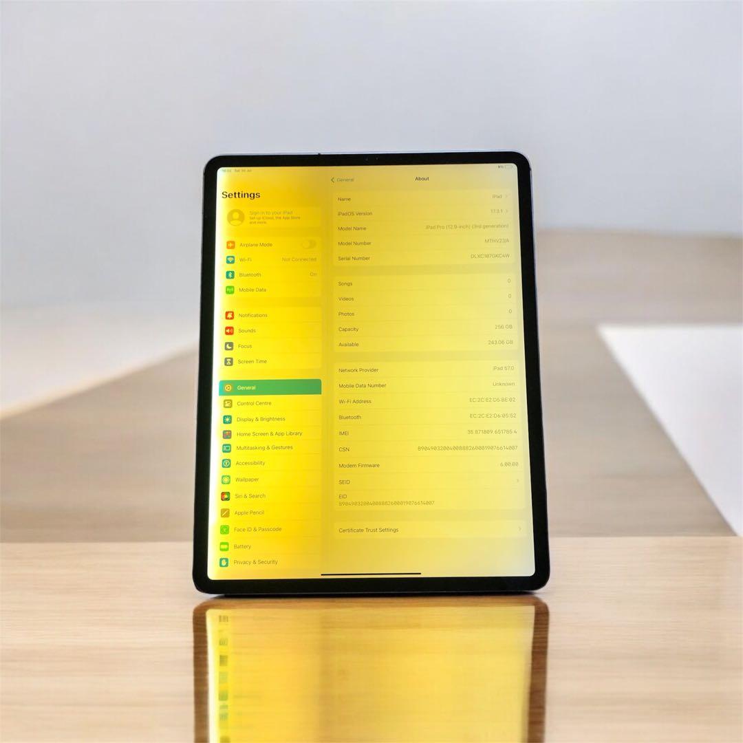 iPad Pro 12.9インチ第3世代 256GB(Wi-Fi + セルラー)