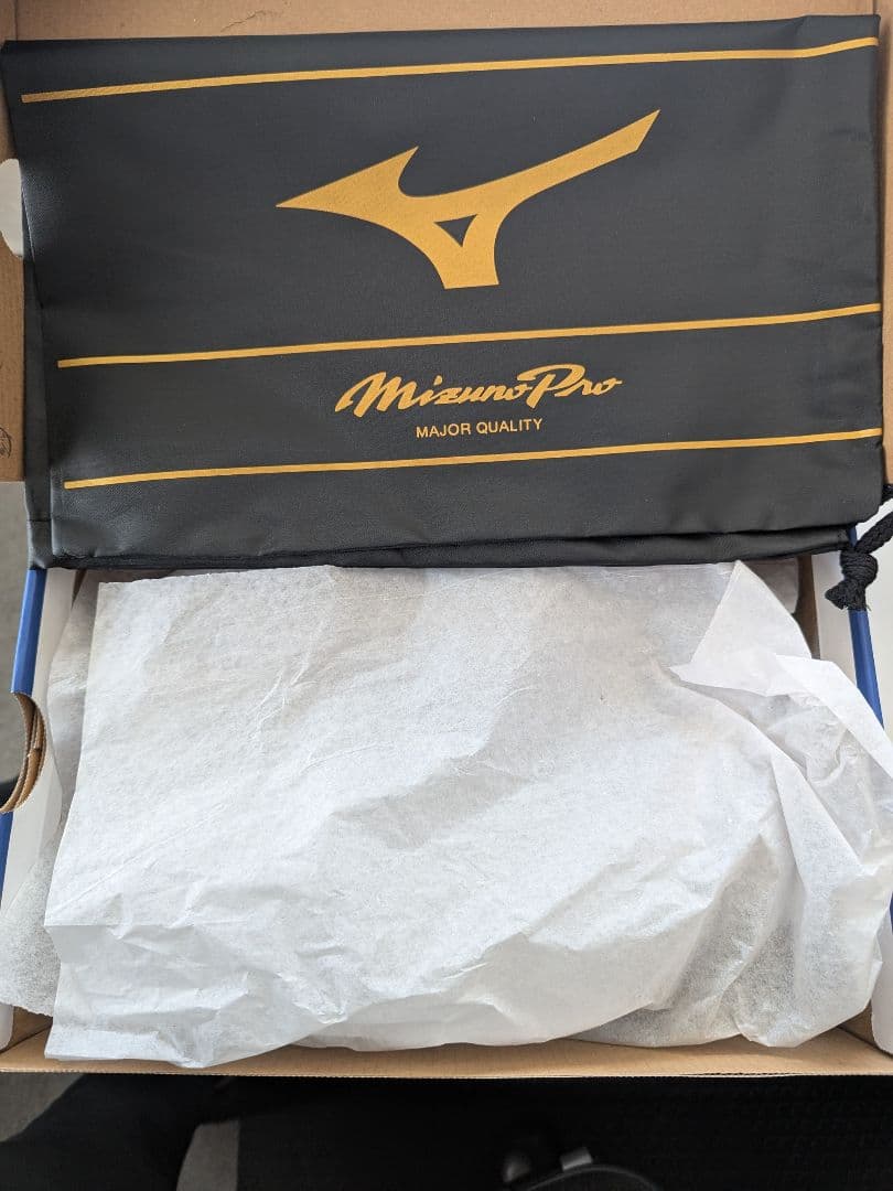 Mizuno Pro（ミズノプロ） ps2 11GM20000 野球スパイク