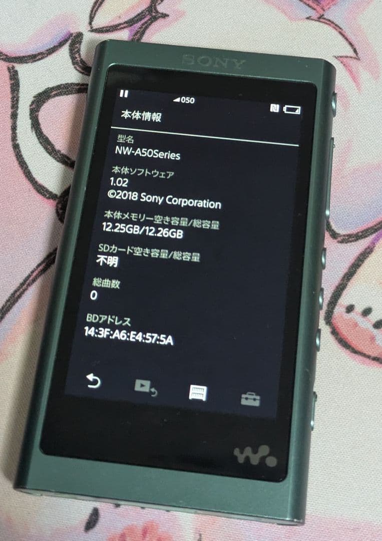 ウォークマン NW-A50series 12.26GB ホライゾングリーン