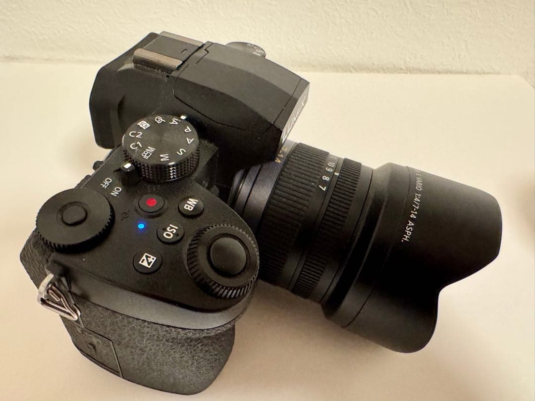 LUMIX Gシリーズ（DC-G99） デジタルカメラ、レンズ2個付