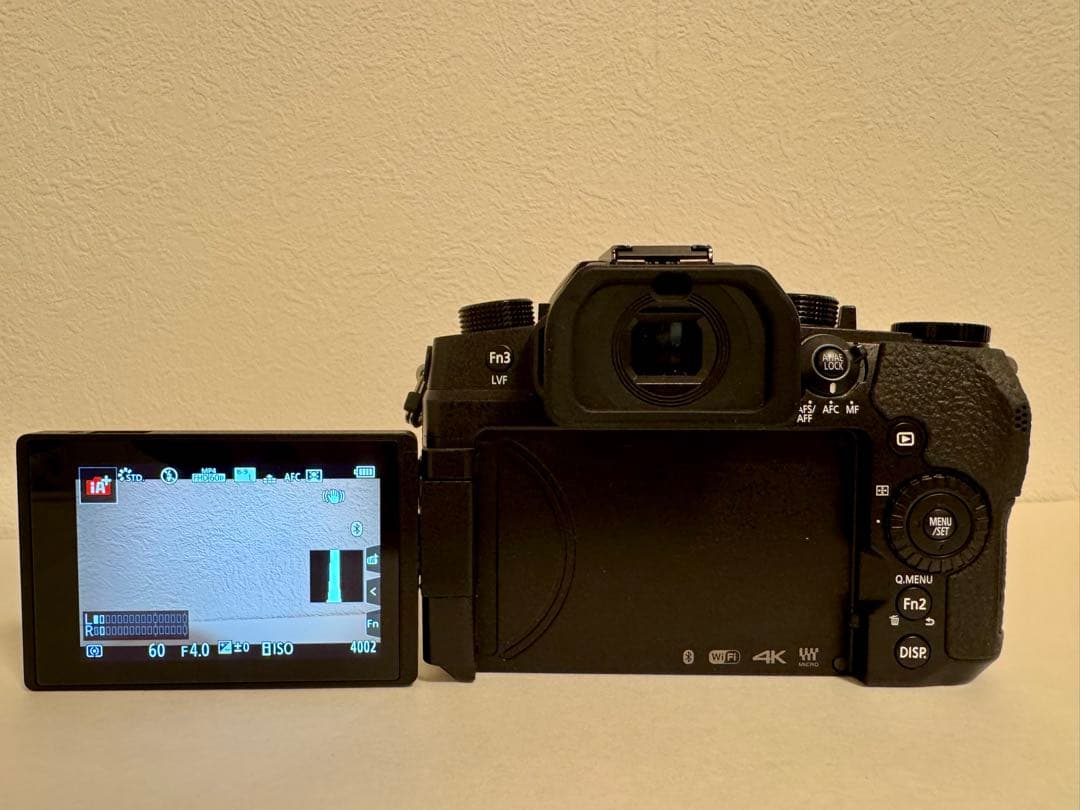 LUMIX Gシリーズ（DC-G99） デジタルカメラ、レンズ2個付