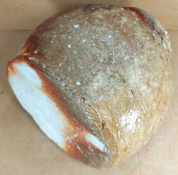 杉本貞光 信楽掛花入(信楽蹲壷）裏千家十五代 鵬雲斎 書付 共箱 寺垣外窯 美品