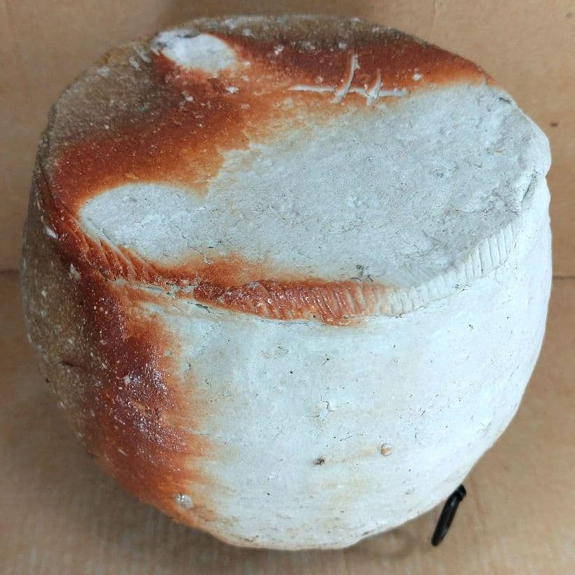 杉本貞光 信楽掛花入(信楽蹲壷）裏千家十五代 鵬雲斎 書付 共箱 寺垣外窯 美品