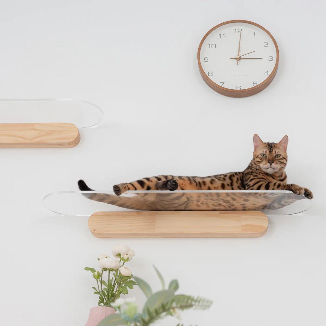 MYZOO 透明キャットステップＬサイズ90センチ