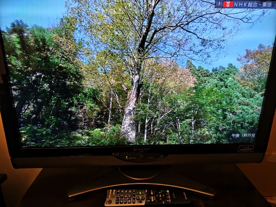 AQUOS 液晶テレビ 32V LC-32SC1 世界の亀山ブランド