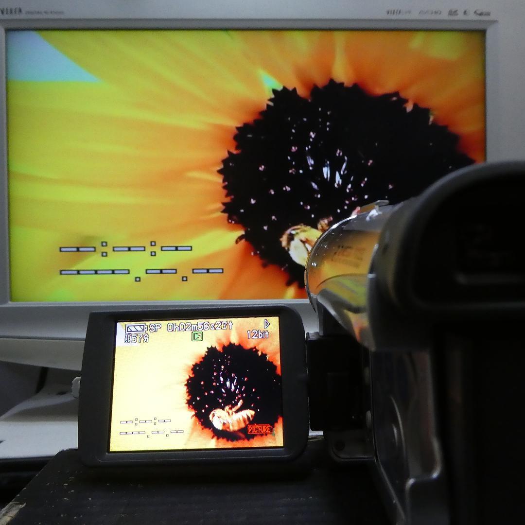 動作良好 パナソニック NV-GS200 MiniDVビデオDVDダビングに最適
