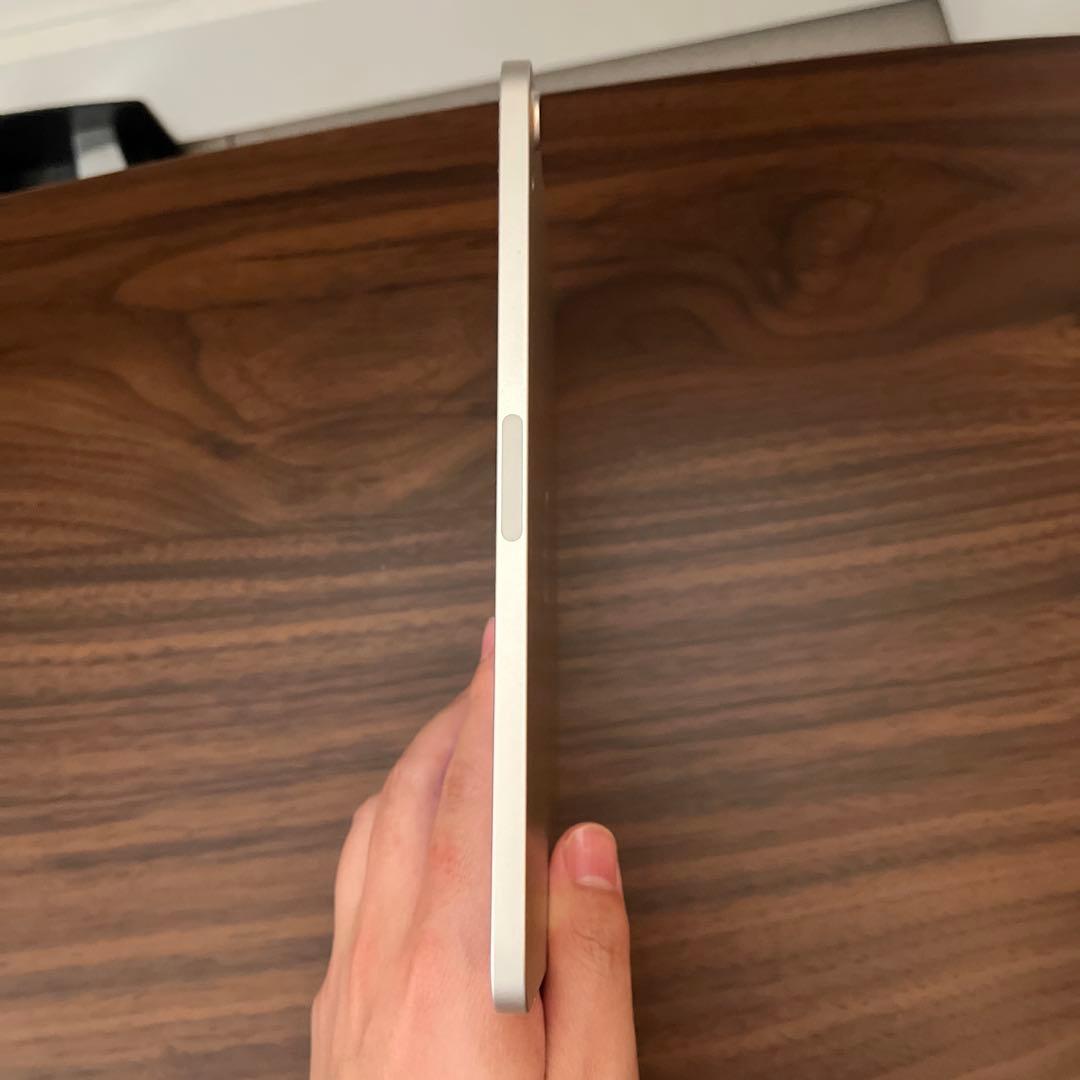 Y*.様 Apple iPad Mini 6 256GB Wi-Fi