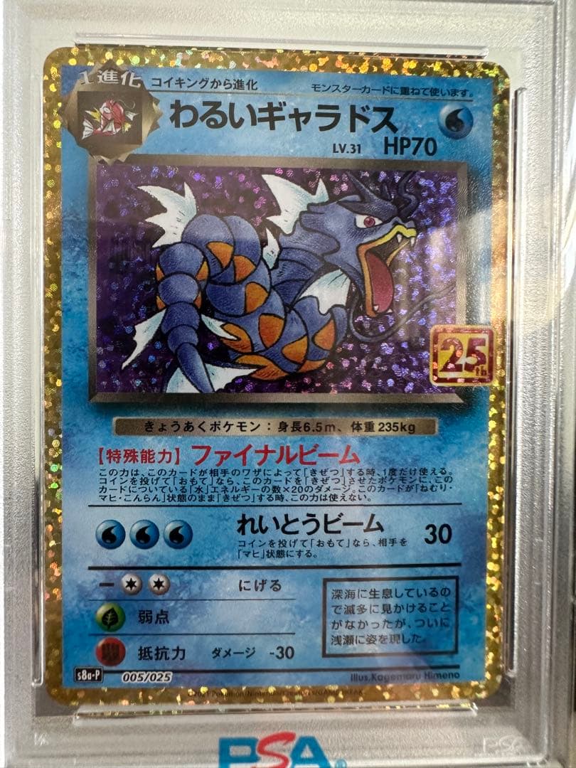 た*う様 PSA10＊わるいギャラドス 25th プロモ 25周年 Gyarad
