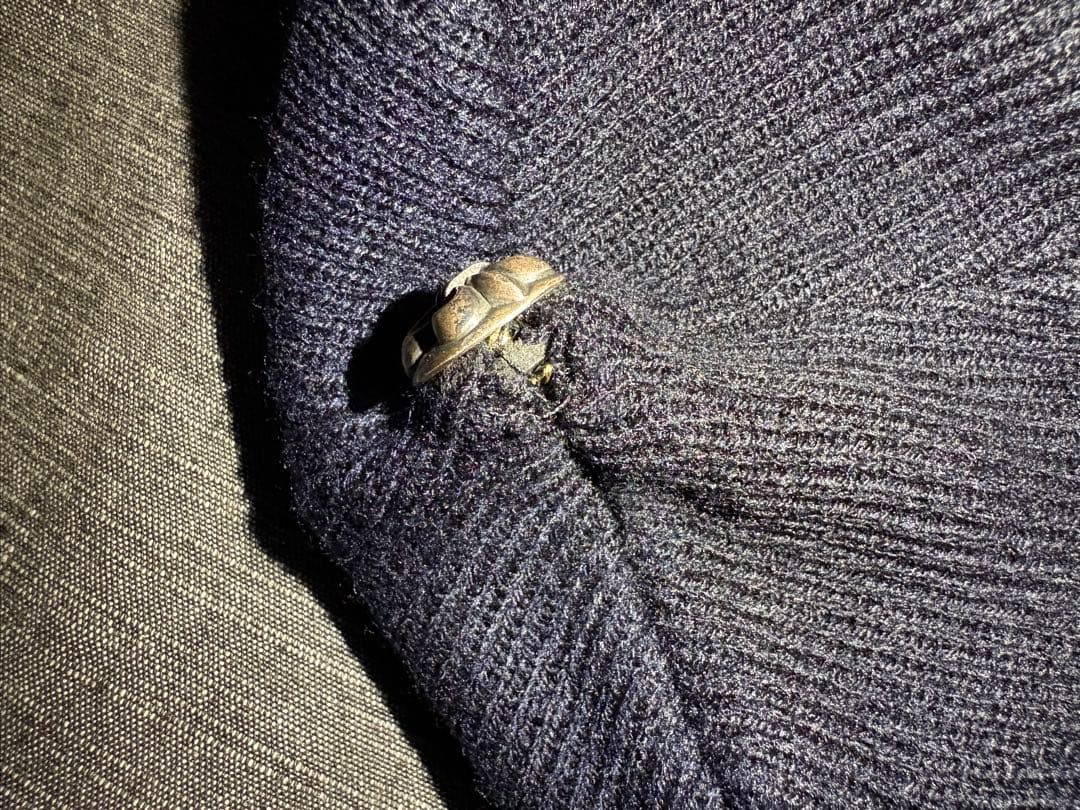 silver horses ビーニー