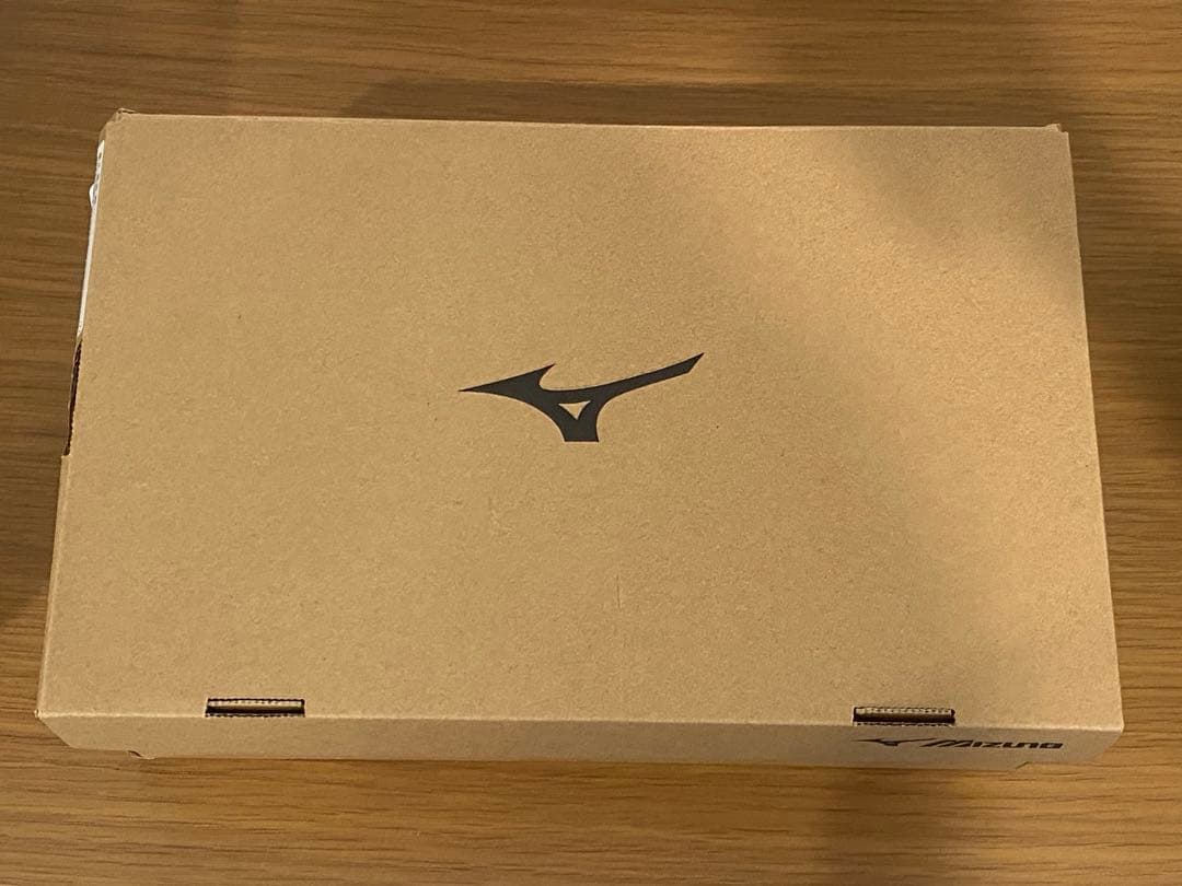 【室内試着のみ】Mizuno GORE-TEX 雨靴 ウエーブエボークgtx