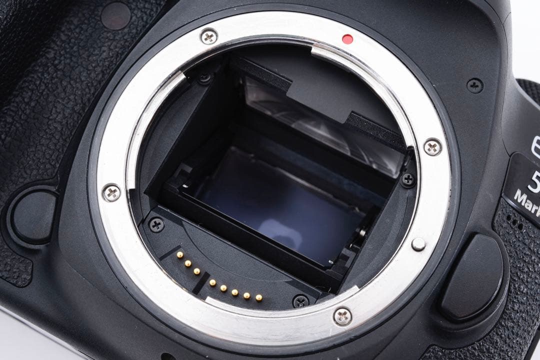 キャノン Canon EOS 5D Mark IV 標準&望遠ダブルレンズセット