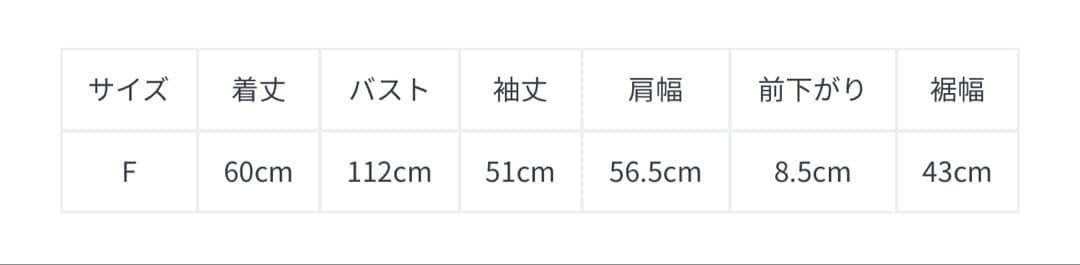 新品未使用タグ付きSNIDEL WEB限定ロゴモチーフスウェット　ネイビー