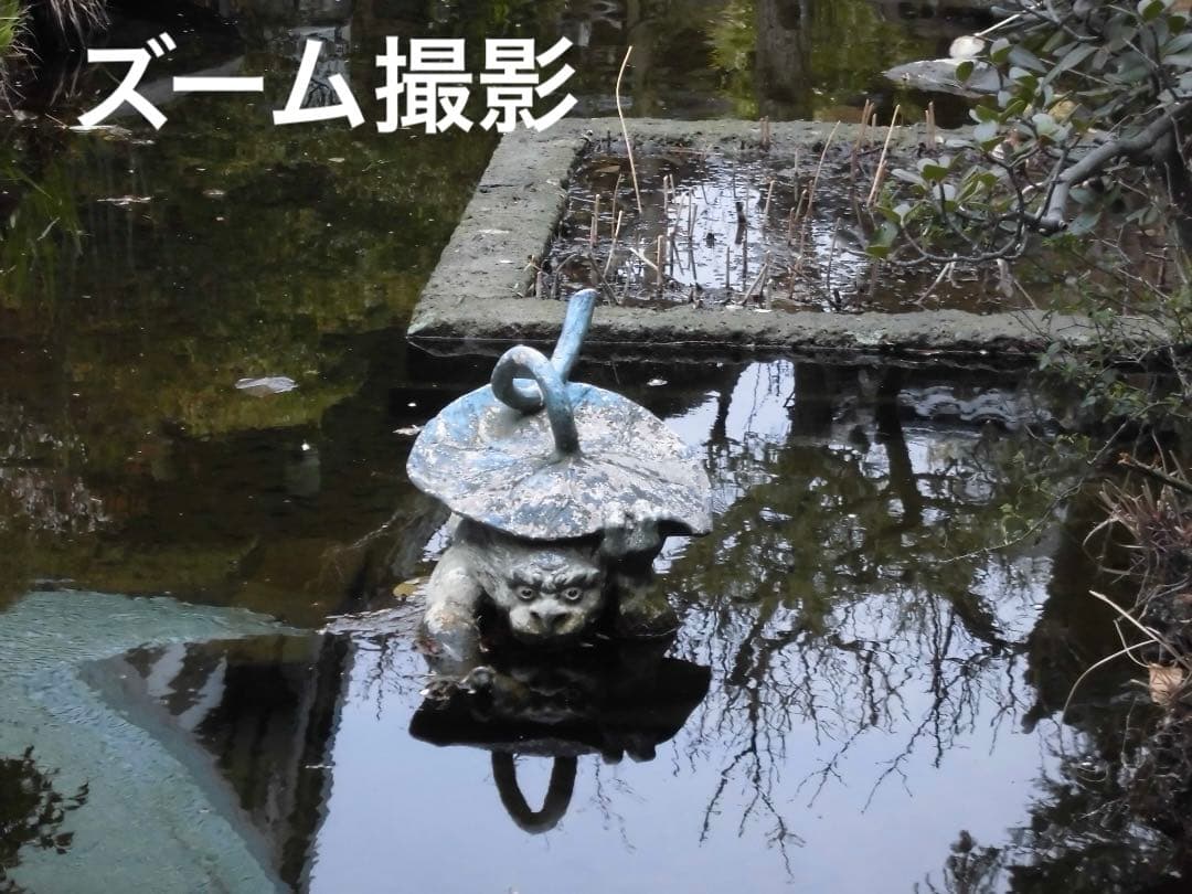 実写美⭕️【動作確認済】CASIO EXILIM EX-Z900 シルバー