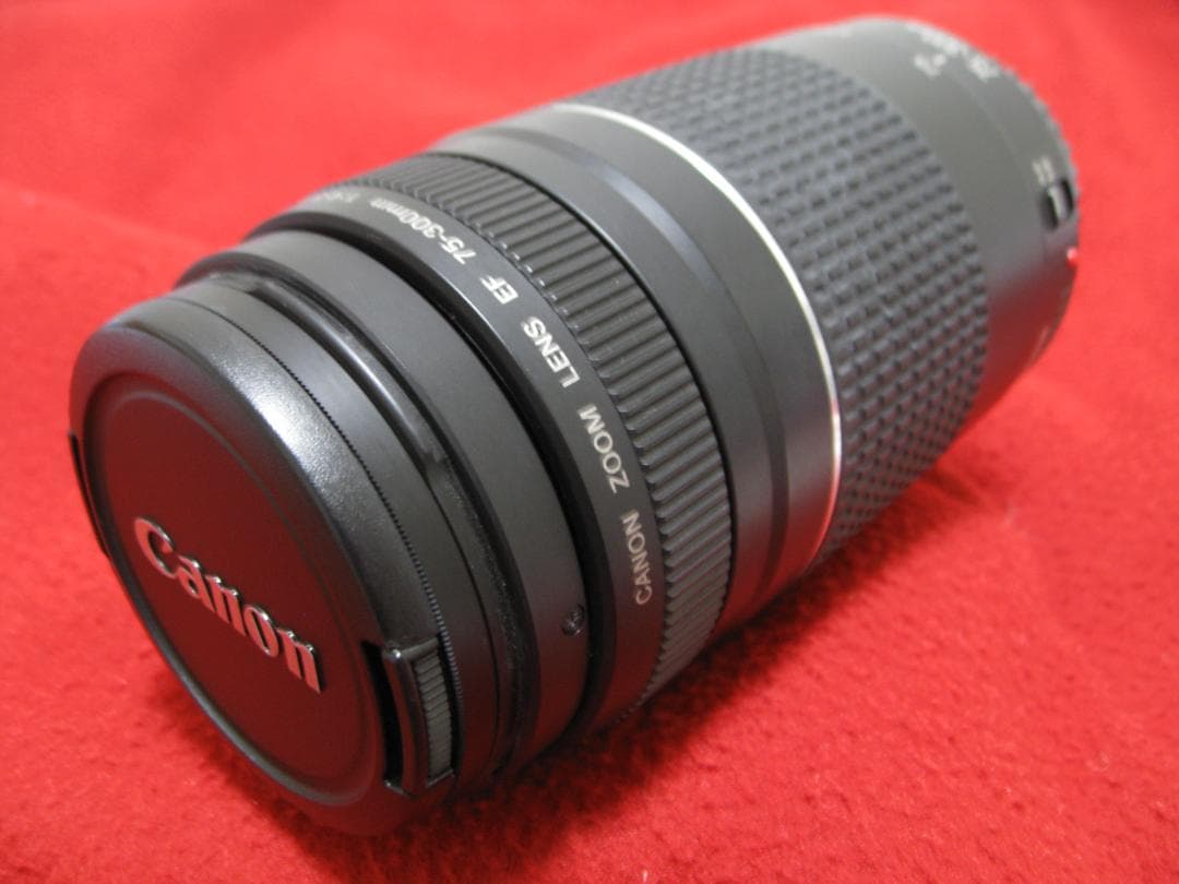 キャノン EFレンズ EF75-300mm F4-5.6 Ⅲ
