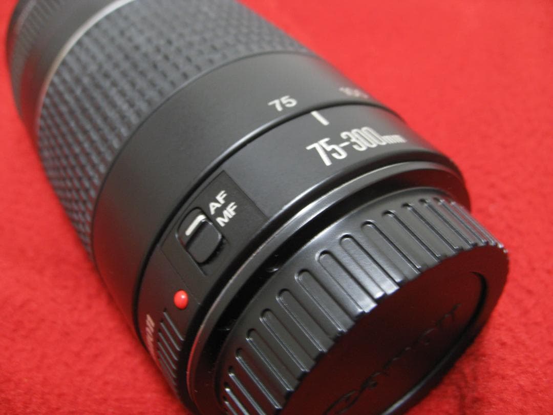 キャノン EFレンズ EF75-300mm F4-5.6 Ⅲ