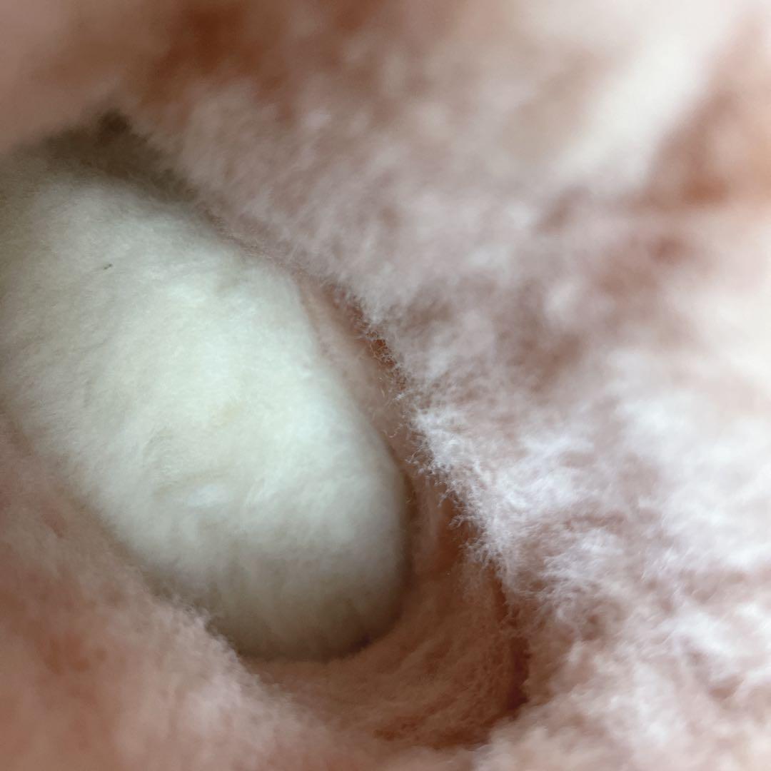 ゆきたまご10900→9500