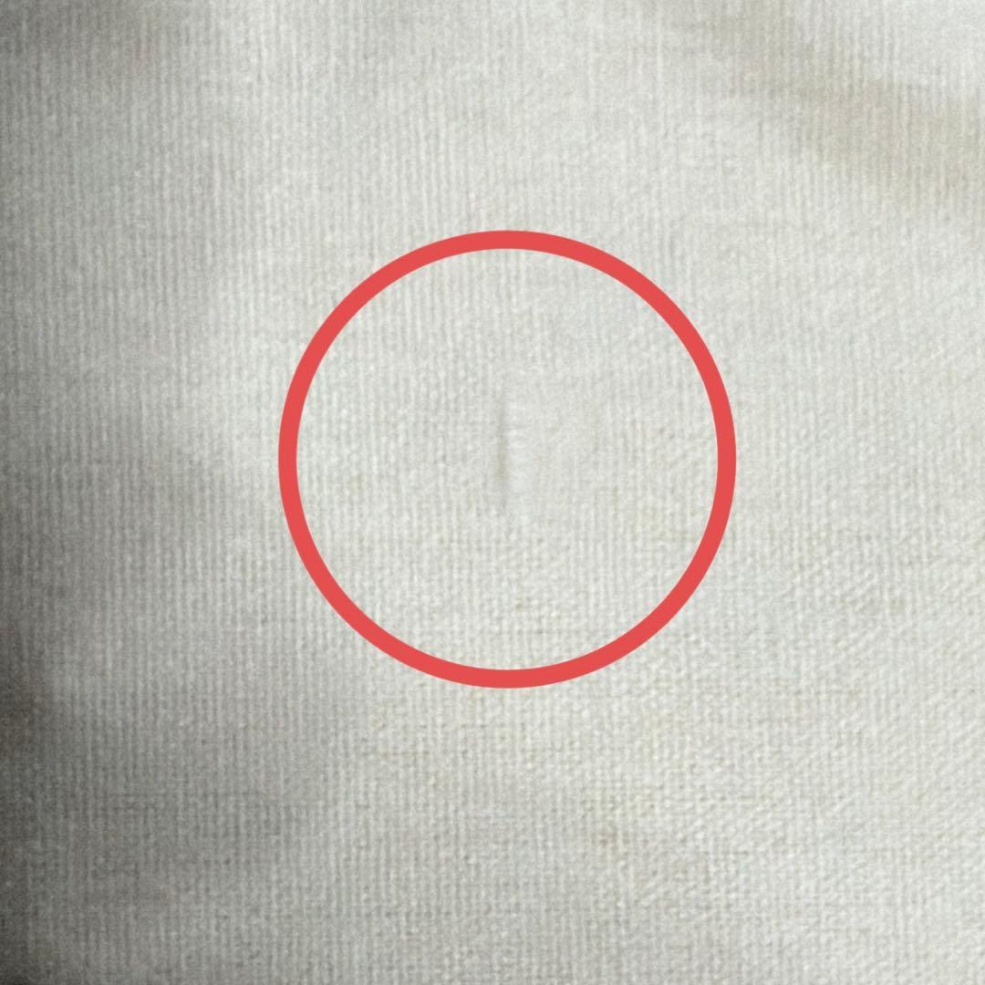 ディズニー マリー まとめ売り おまけ付