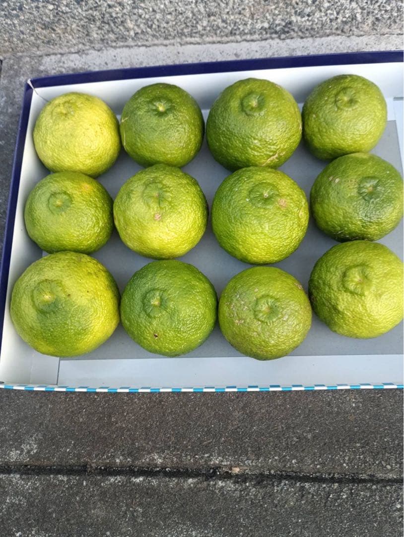 完全無農薬　ゆず　柚子　箱込み10kgちょっと入ります！