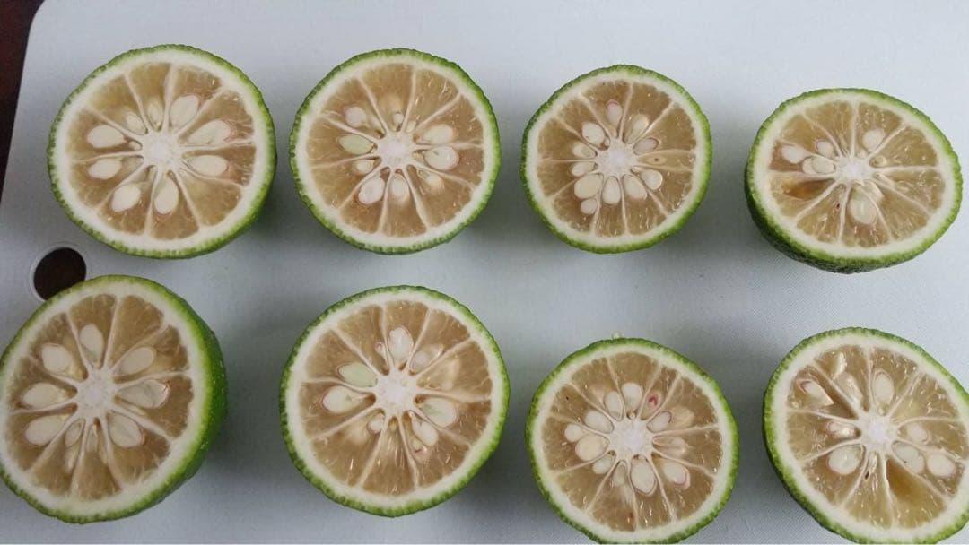 完全無農薬　ゆず　柚子　箱込み10kgちょっと入ります！