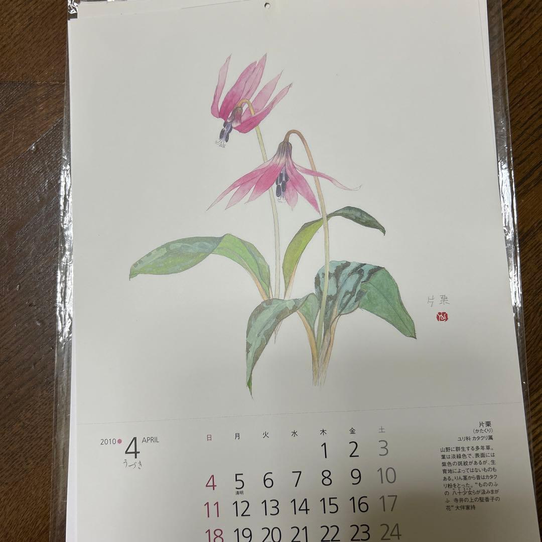 値下げ　　水彩画 木製フレーム付き　 外山康雄　原画　越の小貝母 名刺