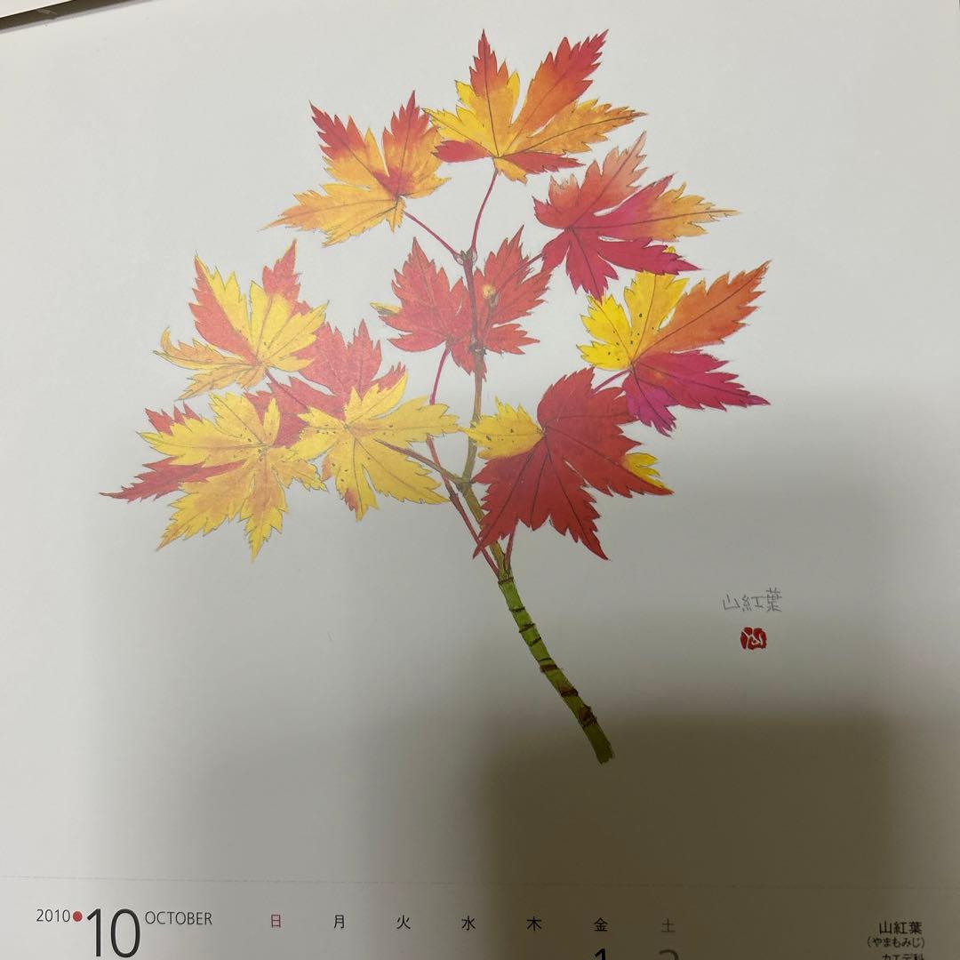 値下げ　　水彩画 木製フレーム付き　 外山康雄　原画　越の小貝母 名刺