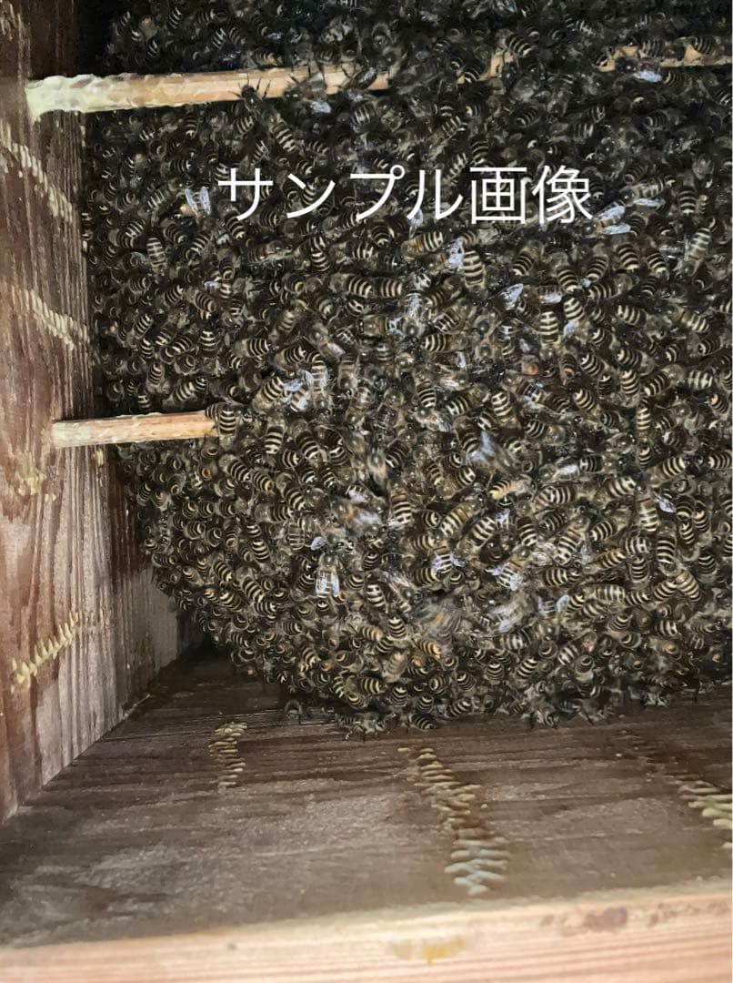 日本蜜蜂重箱式さ巣箱！ハニーズハウス！超訳あり特価！ニセット！送料無料！