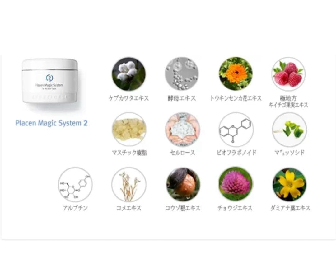 ルネセルマジック　Rene-Cell Placen Magic System2個