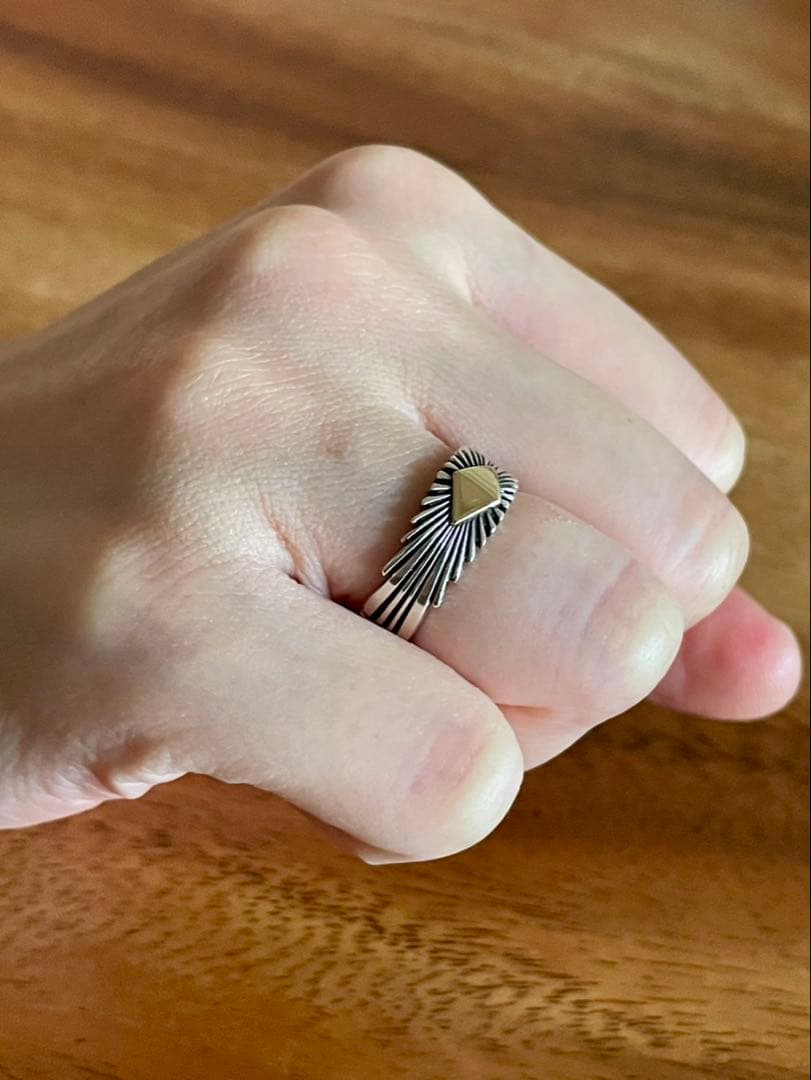 パットベドニー / Pat Bedonie リング 14K 13号