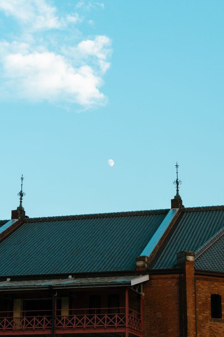 Sony E 50mm F1.8 OSS SEL50F18 レンズ