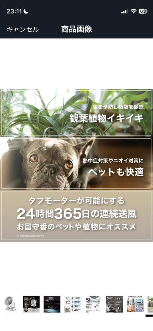 【美品】VORNADO サーキュレーター 533DC-JP 静音設計