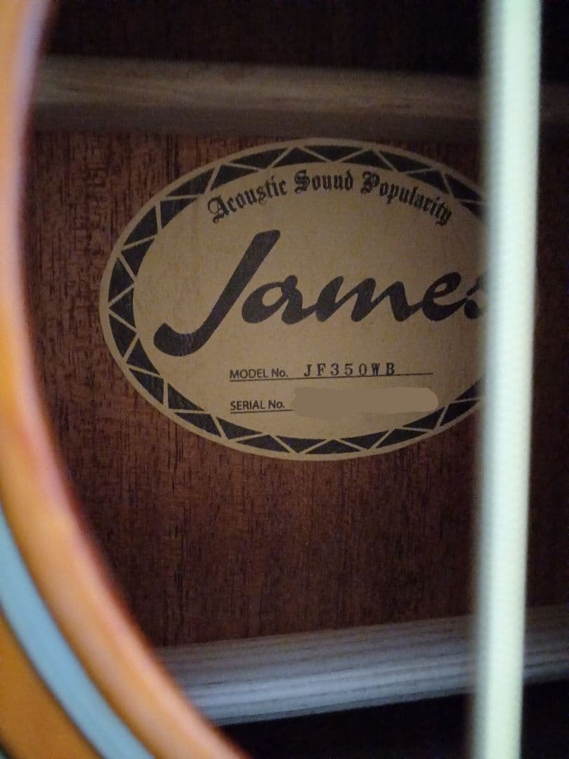 【送料込】【美品】James　島村楽器　トップ単板　整備済