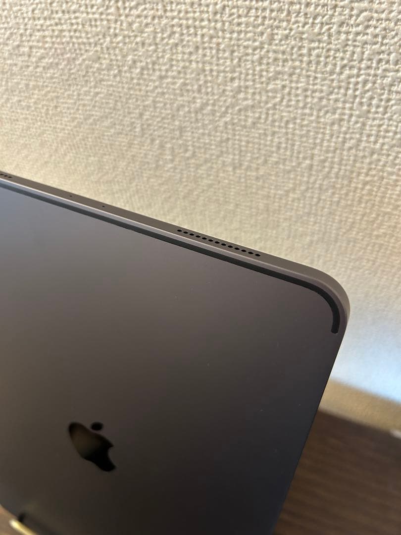 Apple iPad Pro 第1世代 256GB 11インチ Wi-Fiモデル