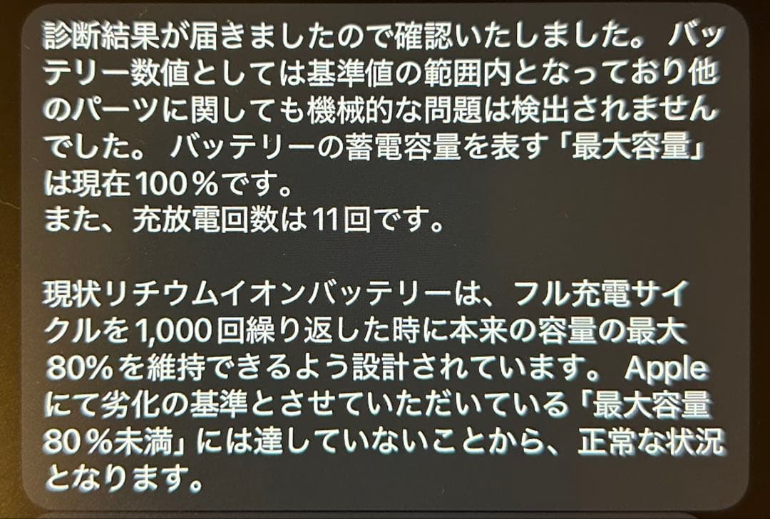 Apple iPad Pro 第1世代 256GB 11インチ Wi-Fiモデル