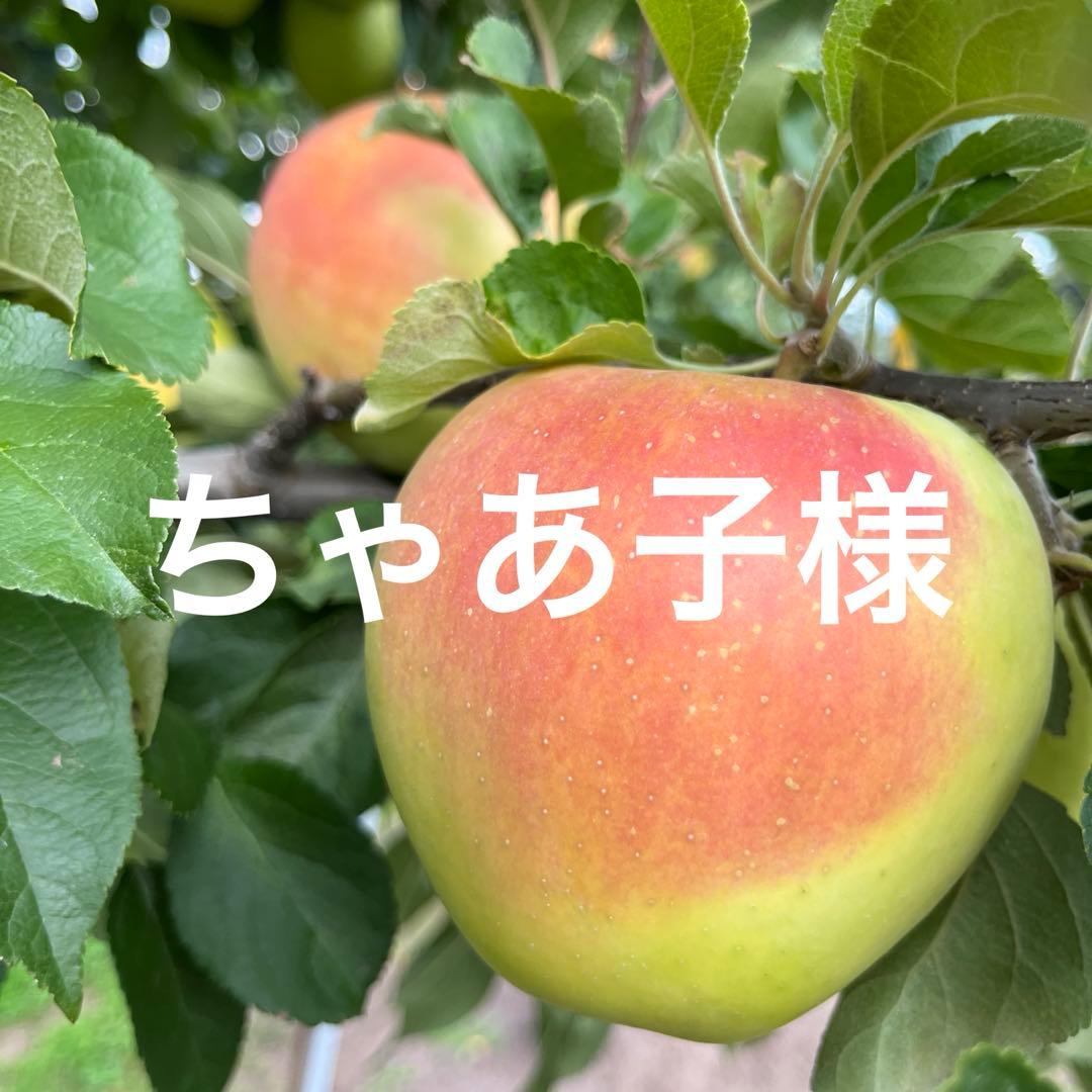 ちゃあ子ページ✨10kg