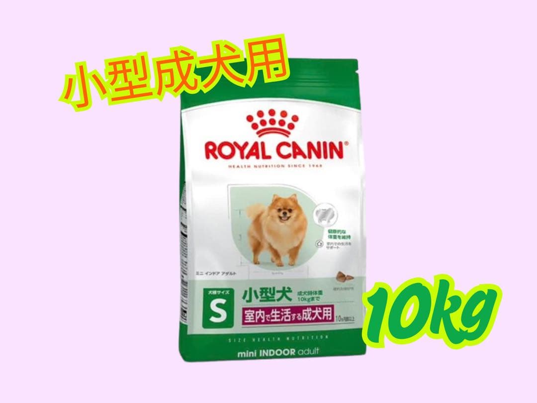★ロイヤルカナン　ミニ　インドア　アダルト10kg★小型犬の成犬用！