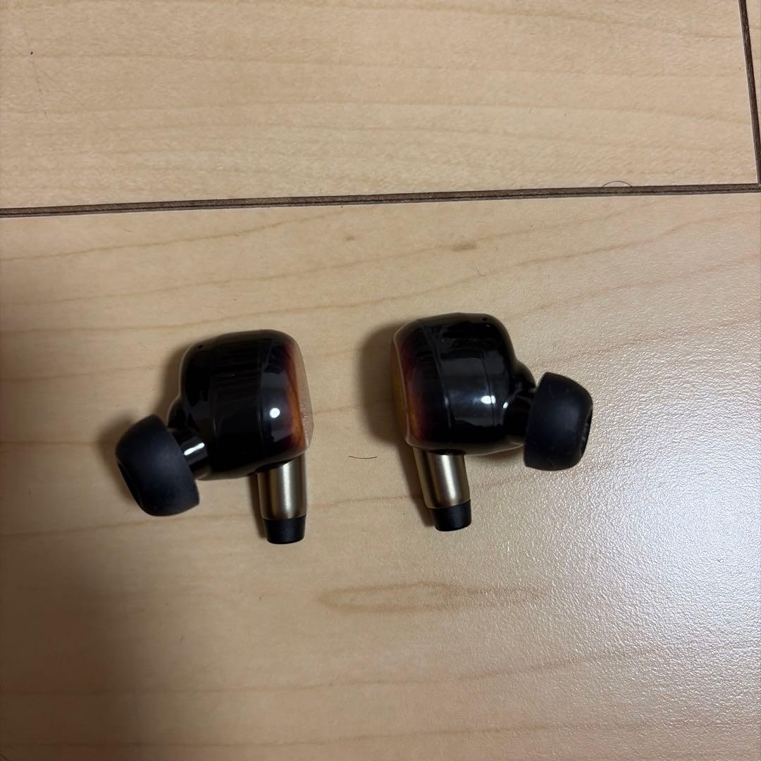 イヤホン Victor WOOD master HA-FW5000T