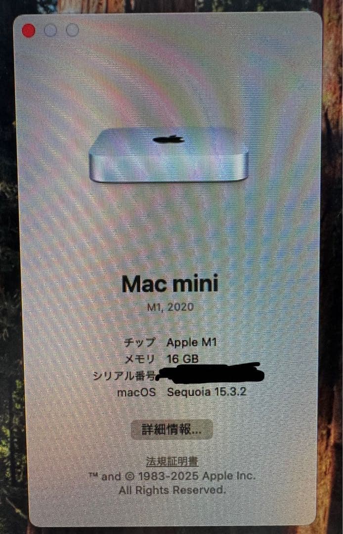 【購入時期:2022年9月】Apple Mac mini M1