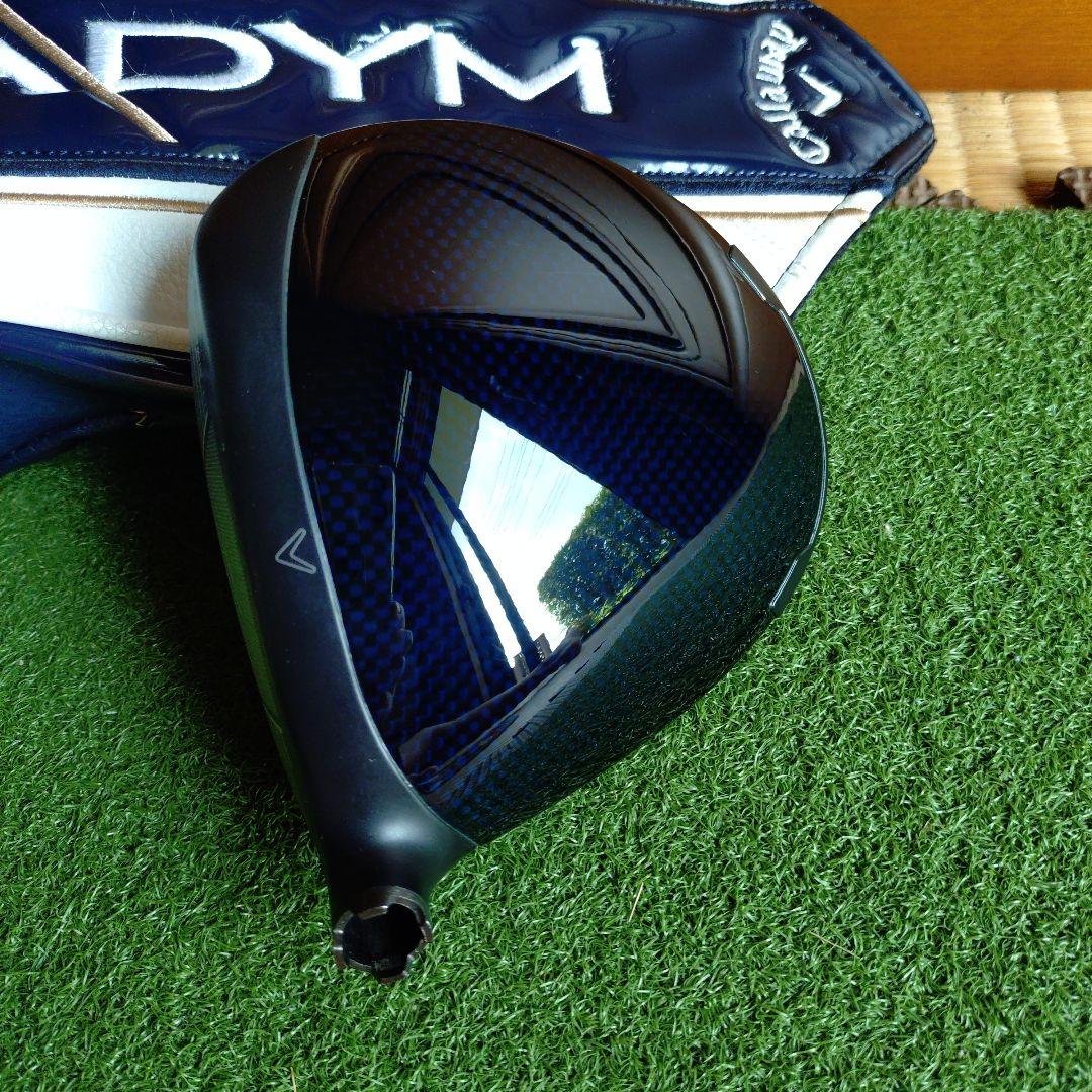 パラダイムX 10.5ヘッド