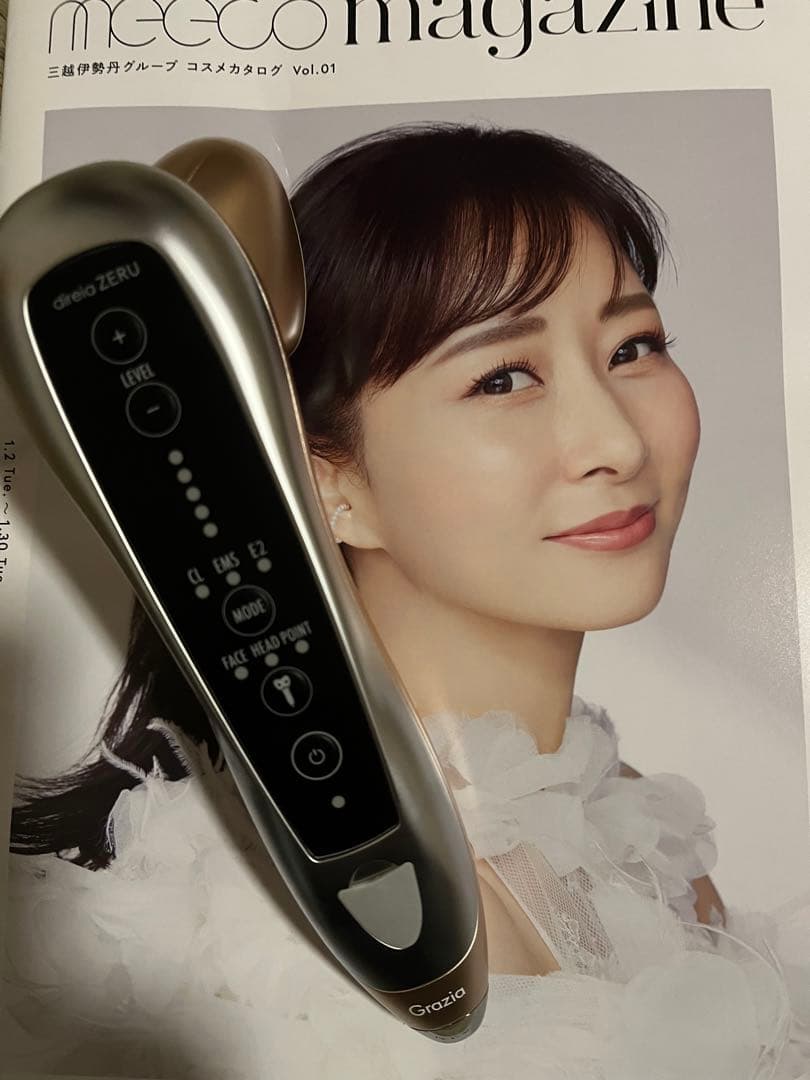 フジノ　ディレイアゼル　差額分